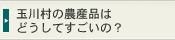 �ʐ쑺�̔_�Y�i�͂ǂ����Ă������́H